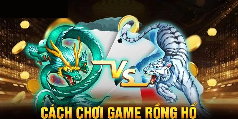 Cách chơi Dragon Tiger dễ thắng dành riêng cho newbie