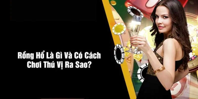 Chia sẻ cách chơi rồng hổ chi tiết dành cho người mới