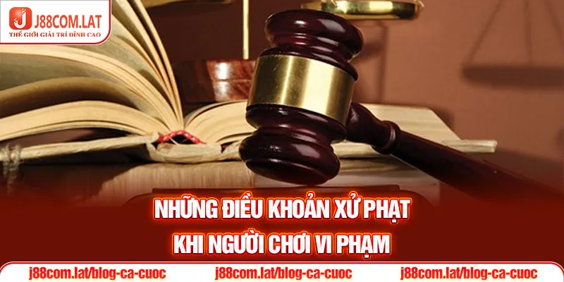 Những điều khoản xử phạt khi người chơi vi phạm